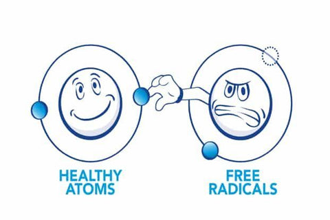Молекулярен водород и стареене